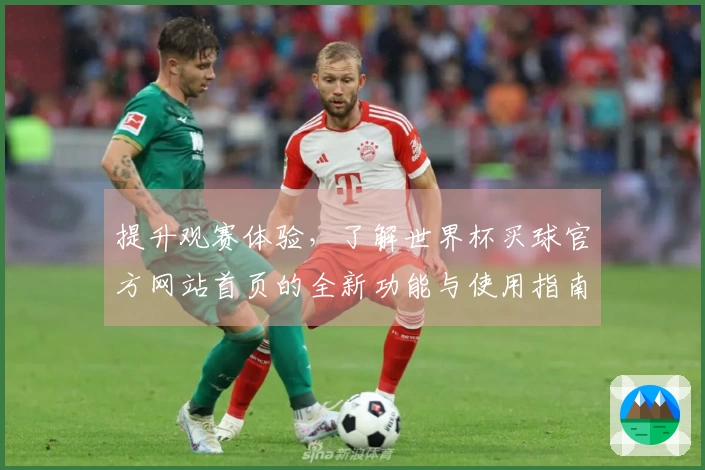 提升观赛体验，了解世界杯买球官方网站首页的全新功能与使用指南
