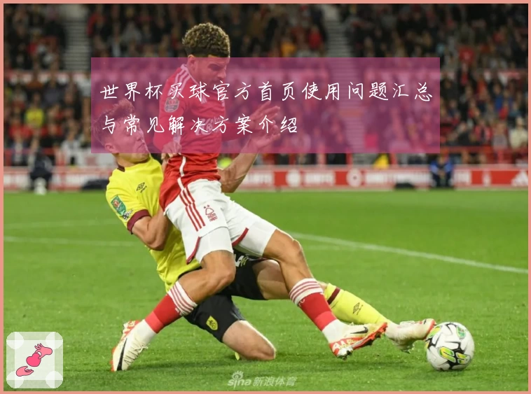 世界杯买球官方首页使用问题汇总与常见解决方案介绍