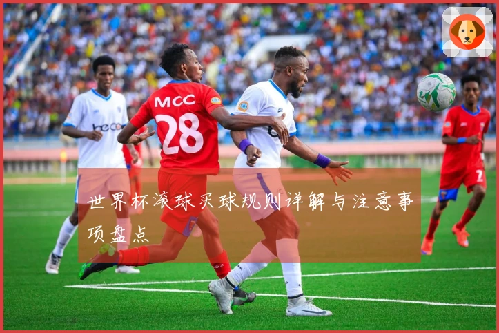 世界杯滚球买球规则详解与注意事项盘点