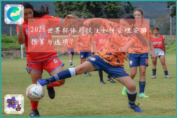 2026世界杯体彩投注如何合理安排预算与选项？