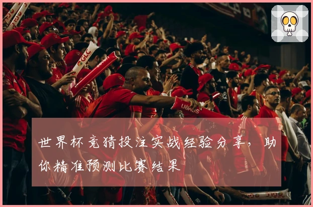 世界杯竞猜投注实战经验分享，助你精准预测比赛结果