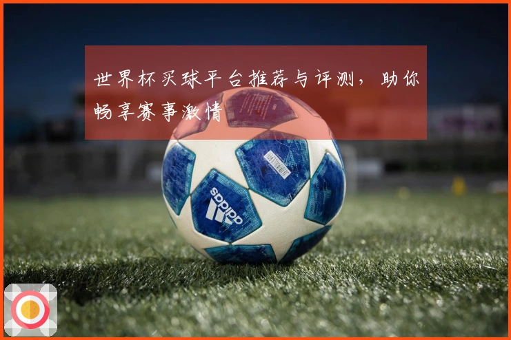 世界杯买球平台推荐与评测，助你畅享赛事激情