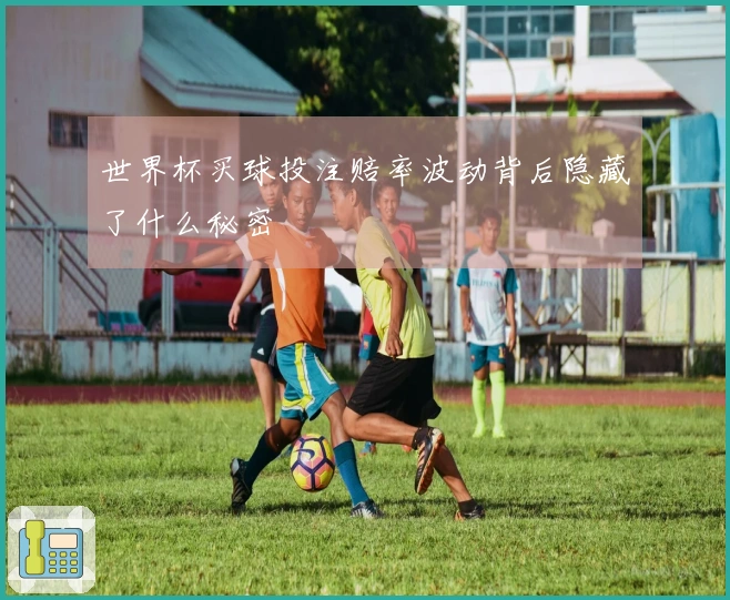 世界杯买球投注赔率波动背后隐藏了什么秘密