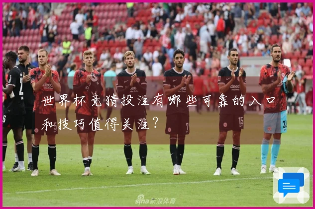 世界杯竞猜投注有哪些可靠的入口和技巧值得关注？