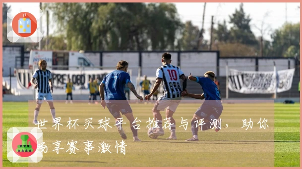 世界杯买球平台推荐与评测,助你畅享赛事激情