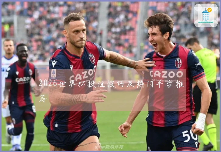 2026世界杯投注技巧及热门平台推荐