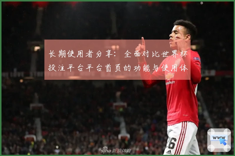 长期使用者分享:全面对比世界杯投注平台平台首页的功能与使用体验