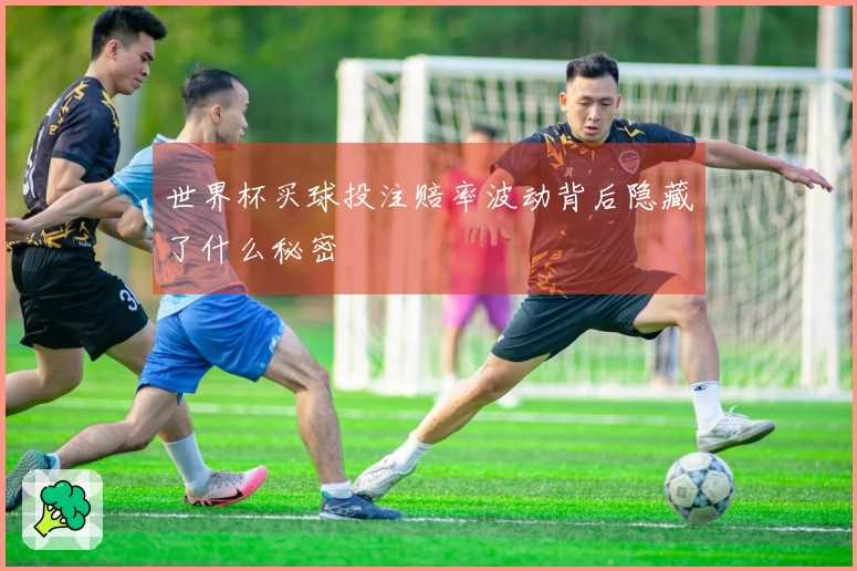 世界杯买球投注赔率波动背后隐藏了什么秘密