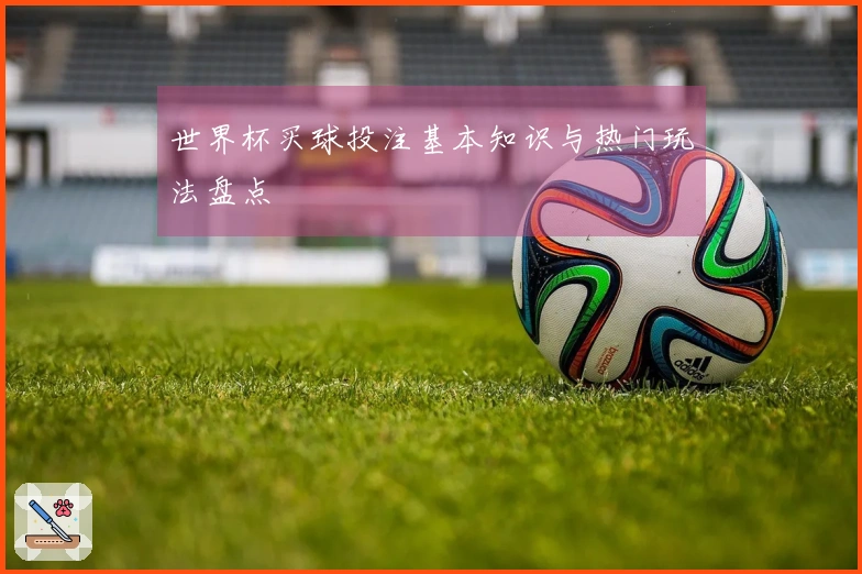 世界杯买球投注基本知识与热门玩法盘点
