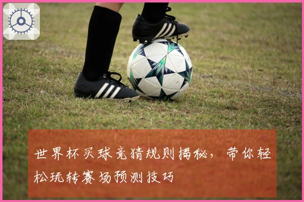 世界杯买球竞猜规则揭秘，带你轻松玩转赛场预测技巧