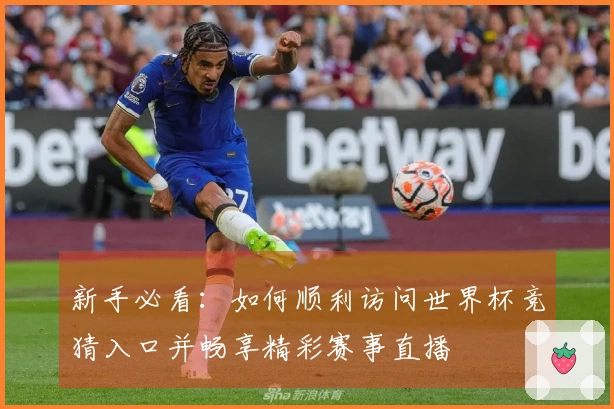 新手必看:如何顺利访问世界杯竞猜入口并畅享精彩赛事直播