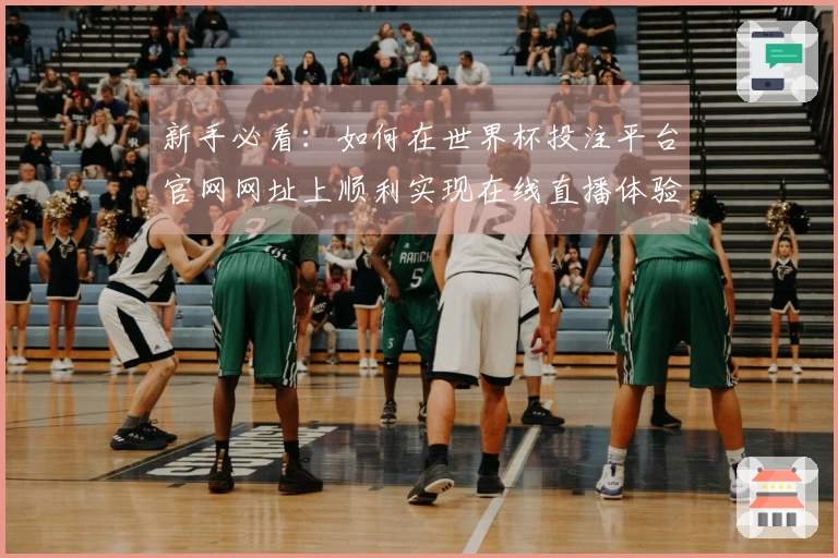 新手必看：如何在世界杯投注平台官网网址上顺利实现在线直播体验